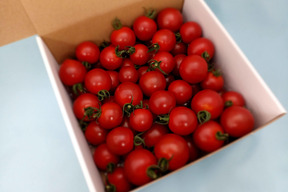 お届け日指定可能！【母の日ギフト】糖度９度以上※おいし～甘～いフルティカの贈り物※１ｋｇ