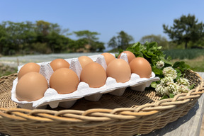 【夏ギフト】幸せ島育ち！✨平飼いたまご　30個　Eggs