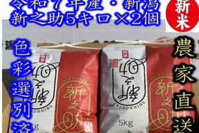 お正月限定お値打ち（ 通常の90％の価格）　大粒で　粒感がありしっかりとした食感　冷めても固くなりにくい新米　新潟県のお米のトップブランド　新之助（新潟県認証銘柄）　白米5kg × 2個★色彩選別済