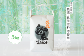 【令和7年産】知る人ぞ知る素朴な味わい 新潟県佐渡産 栽培期間中農薬・化学肥料不使用米『亀の尾』玄米 5kg