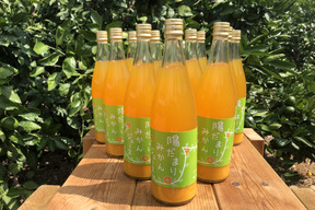 【お得な12本セット♪】陽だまりファーム  三ヶ日青島みかんジュース ストレート100％（720ml×12本）