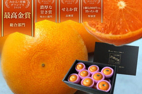 🏆みかん柑橘グランプリ2026最高金賞含む最多４部門受賞の木熟せとか！大感動！樹上完熟させた濃厚な甘みの大トロせとか！とろける甘さと上品な味わい！「木熟せとか」厳選プレミアム　約２．８ｋｇ【402】