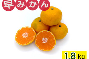 【お試しに】秋が旬！『早みかん』【1.8kg】