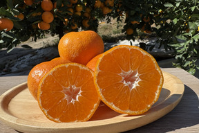 果汁たっぷり！！食べてみらんね太良みかん5㎏（Lから2S混合)