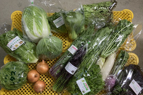 【福袋】玉ねぎ7kg🧅とキヌヒカリ玄米5kgその他葉物野菜など5種類以上の野菜セット