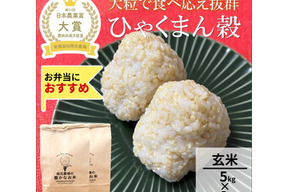 日本農業賞大賞受賞 令和８年産ひゃくまん穀5kg×2袋玄米