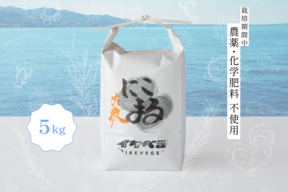 【令和7年新米】大粒にこまる×越後テロワール 新潟県佐渡産 栽培期間中農薬・化学肥料不使用米『にこまる』 白米5kg