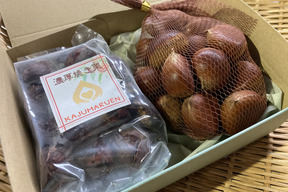 【ゲン担ぎ福袋】数量30個限定！！熟成させた糖度30度越えのほくほくしっとり焼き栗300ｇ＆大粒冷凍栗500ｇのセット