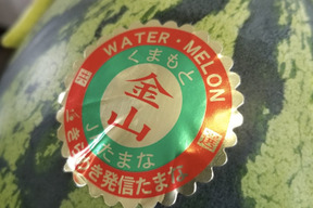 【幻】金山すいか 大玉  1玉 7kg～8kg  春スイカ『2027年度予約』 早期予約