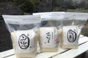 【新米初回限定BOX 】お米食べ比べセット 白米4.5kg(10合(1.5kg)✖️3品種)