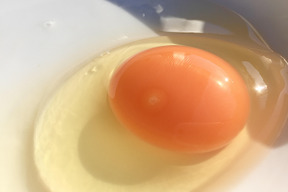 【黒麹・50個】オレンジ色が鮮やか🎵濃厚な黄身🍳、黒麴育ちの赤たまご50個