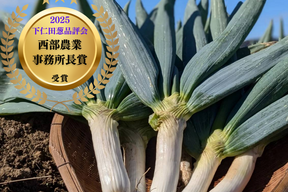 《L~3Lミックス,10~14本》下仁田町産 下仁田ねぎ 極上の甘みととろける食感！（贈答用/ご家庭用）【冬ギフト】