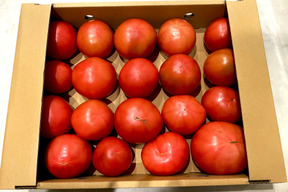 【期間限定値引き中】ドドンと！お得な訳ありトマト約4kg (約18〜40.玉)【福岡県産トマト】🍅   【父の日ギフト】