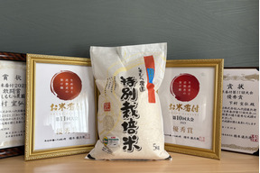 新米予約【R７年産】２年連続お米番付全国２位受賞米!!至高の特別栽培米さがびより玄米５ｋｇ【栽培期間中農薬不使用米】