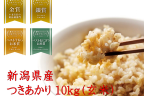 「お米グランプリ2025   4部門受賞🏆」 新潟県産　つきあかり  10キロ  玄米 令和7年産　 新米　米　(tukiakari-10kg-g)
