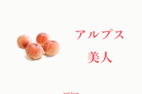 【2027年先行】【数量限定レア桃】【夏ギフト】【朝どれ】アルプス美人｜南アルプス生まれの気品あふれる希少桃　約2kg 約4~7玉