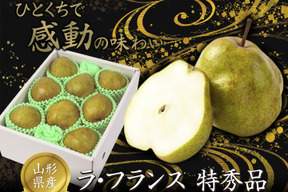 【2025年度先行予約】 食べ頃出荷だから安心！【 特秀品 ラ・フランス！洋梨】 約2㎏ 贈答・ギフト （5玉～9玉入） R3-01-01