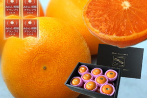 🏆みかん柑橘グランプリ2026最高金賞含む最多４部門受賞の木熟せとか！大感動！樹上完熟させた濃厚な甘みの大トロせとか！とろける甘さと上品な味わい！「木熟せとか」厳選プレミアム　約２．８ｋｇ【402】