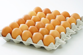 【土曜日発送】兵庫県産の新鮮な朝どりＬ卵17個(20個入り3個割れ保障）生たまご たまご 生卵 タマゴ