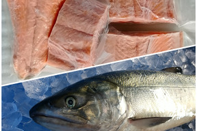 こんな刺身があったのか 北海道産 刺身用ニシンの切身 3パック 急速冷凍 北海道産 食べチョク 農家 漁師の産直ネット通販 旬の食材を生産者直送