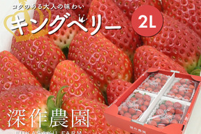 茨城県産紅はるかS60キロ じゅん様専用品 人気の www.aluminiocircular