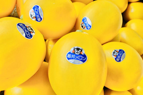 【母の日ギフト】特秀:数量限定・幸せの黄色いメロン(キンショー) 約4キロ熨斗等可