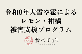 【1口5000円】令和8年 大雪や雹によるレモン・柑橘被害支援プログラム