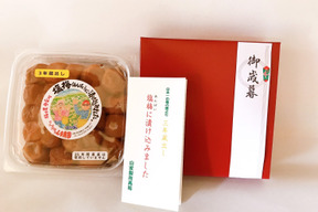 (500g)【ギフト]無添加☆ 昔ながらのすっぱい！梅干し[紀州みなべ産]