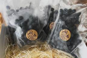 【肥料農薬不使用】2025年収穫！自慢の冷凍ブルーベリー！(2kg)