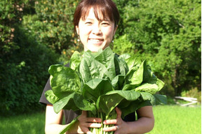 今だけ500円off 魂のほうれん草 1kg 7袋 ハウス栽培 佐賀脊振山麓産 佐賀県産のほうれん草 食べチョク 産地直送 産直 お取り寄せ通販 農家 漁師から旬の食材を直送
