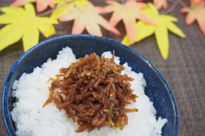 しらす食べ比べセット✨釜揚げしらす/ちりめん/大人気のしらすの佃煮(4セット、900g)