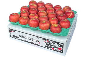 発送中🍎シナノスイート5キロ箱 良品 中玉〜極小玉 18玉〜33玉サイズ 甘くてシャキシャキ ID85301 長野県 信州 安曇野 リンゴ  幻のリンゴ 予約 希少 甘い