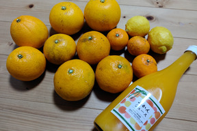 柑橘アソート（自然栽培）みかんジュース１本＆柑橘セット３kg（２種類以上）　【熨斗対応可】【柑橘食べ比べ】