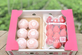 【福袋】【冬ギフト】あまおういちごスタンダード270g×2パック＆あまおう大福セット＆あまおうしみちょこ50ｇ