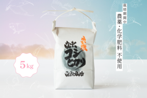 【予約商品】【令和7年新米】潮風香る田んぼでトキと育った新潟県佐渡産 自然栽培『在来コシヒカリ』 玄米5kg