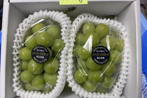 【9周年感謝祭】大粒！高糖度！岡山県産シャインマスカット1.2kg(2房入)【※クール便※】