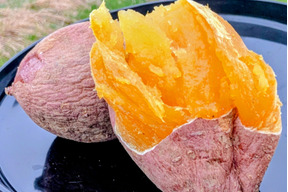 発送中🍠もはやスイーツ！ねっとり甘い安納芋Mサイズ５KG  五島の海水を使って育てました！農薬/化学肥料不使用 サツマイモ さつまいも