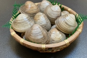 大きいホンビノス貝 1個100g 0g 30玉 千葉県産のホンビノス貝 食べチョク 産地直送 産直 お取り寄せ通販 農家 漁師から旬の食材を直送