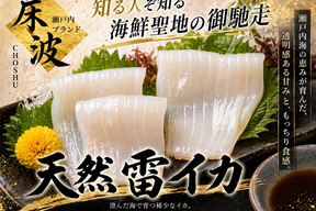 🐟今だけしか味わえない🐟目利き料理人基準で選び抜かれた至の一品🌊天然国産『雷イカ』長州床波ブランドお試し約200gお刺身用【朝どれ】