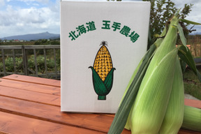 【北海道】生で食べれるなまらウマいトウモロコシ『味来』《10本》