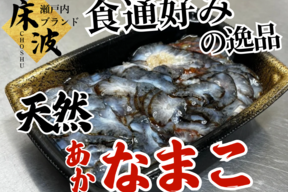 【通が密かに指名買い】長州床波の極み肴『極み赤ナマコ』☆瀬戸内ブランド大容量パッケージ☆スライスカット約200g【朝どれ】【1月下旬予約】