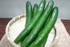朝摘み！新鮮きゅうり4kg　埼玉県産
