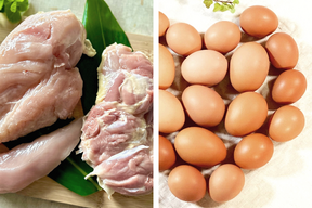 【ゲン担ぎ福袋】🧧【真】チキン勝と親子丼福袋