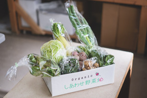 【規格外増量】オーガニック野菜「シェフＭセット」しあわせ野菜畑
