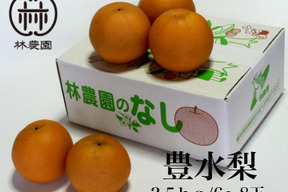 甘みと酸味が最高！豊水梨(家庭用）約2.5kg(5〜8玉)