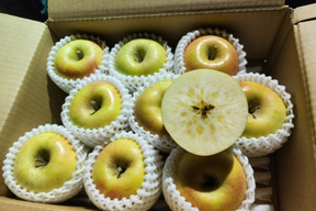 令和８年産も１年待ちになります
☆食べチョクりんごグランプリ2025出品☆
当園スタッフ激推し品種☆
蜜入り品種「名月」ホワイトキャップ入り
９～１０個