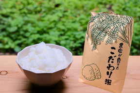 鳥取の清流育ち　令和7年産新米【星空舞】5kg｜冷蔵保存で鮮度抜群！