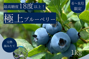 【極上】完熟 生ブルーベリー！ 甘くてジューシーな 1kg