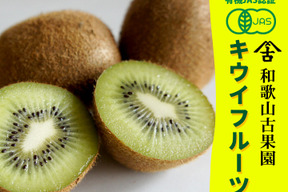 【数量限定〈加工用．生食用〉・通常品の半額！】　　　　　　ジューシーな果肉！安心安全の“有機JAS認証栽培”和歌山県古果園キウイフルーツ 《規格外品（めっちゃ小玉！・傷物）》 【たっぷり 3kg】