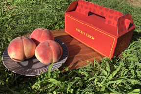 🍑お中元ギフト🍑【2025年8月上旬予約】日テレニノさん話題沸騰！桃通が好む本場山梨の味『硬甘桃』硬めでも甘いという新常識☆約1キロ【朝どれ】